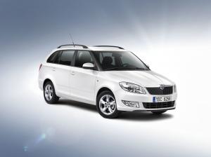 Skoda Fabia Combi GreenLine 2010 года